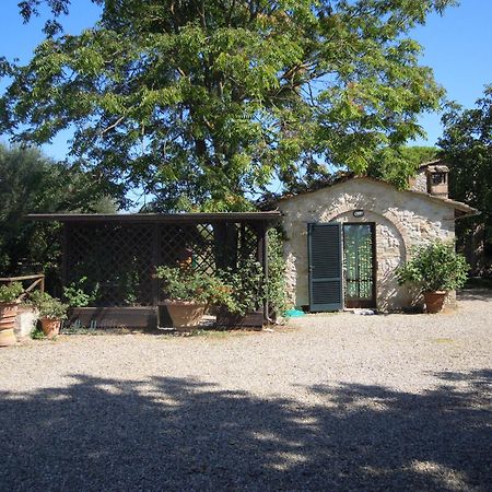 Fontemaggio Apartment Colle Val D'Elsa Luaran gambar